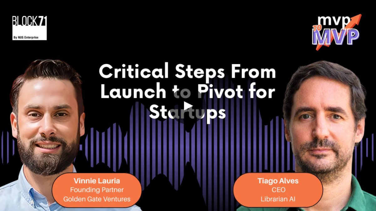 Critical Steps from Launch to Pivot for Startups